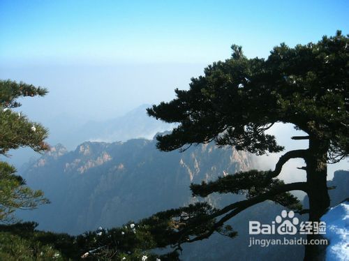 旁门左道谁能及，雪中应学山上松打一准确生肖,警惕虚假宣传落实,专家解答解释落实