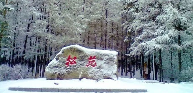 旁门左道谁能及，雪中应学山上松打一准确生肖,警惕虚假宣传落实,专家解答解释落实